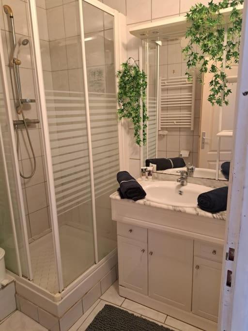 Studio Proche De Perpignan Peyrestortes Экстерьер фото
